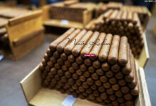 واردات سیگار برگ ممتاز در سال ۲۰۲۴ به ۴۳۰ میلیون عدد رسید