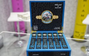 پی‌ سی‌ ای ۲۰۲۵ : ال مگو