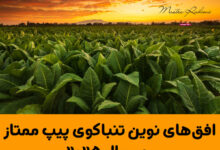 افق‌های نوین تنباکوی پیپ ممتاز در سال ۲۰۲۵: سفری میان سنت، فناوری و هنر