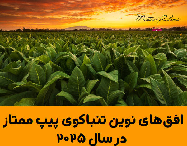افق‌های نوین تنباکوی پیپ ممتاز در سال ۲۰۲۵: سفری میان سنت، فناوری و هنر