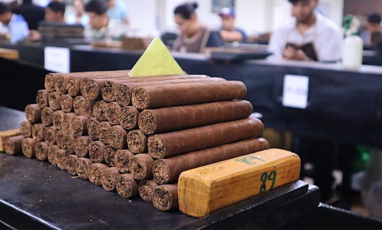 صنعت سیگار برگ در سپتامبر 2025: تحولات بازار، استراتژیهای انحصاری و چالشهای نظارتی