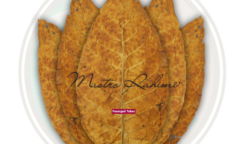 توتون بارلی و توتون ویرجینیا !