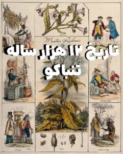 تاریخ ۱۲ هزار ساله تنباکو