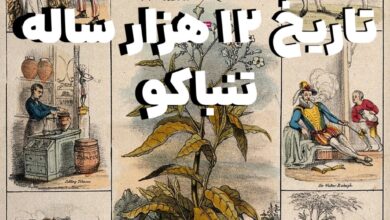 تاریخ ۱۲ هزار ساله تنباکو