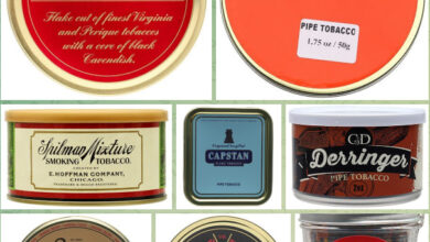 هم‌ نشینی دود و کلمه : هنر گزینش تنباکوی پیپ برای آثار ادبی