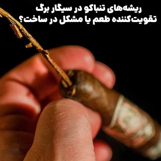 ریشههای تنباکو در سیگار برگ : تقویتکننده طعم یا مشکل در ساخت؟ مقدمه : آناتومی یک بحث دیرینه