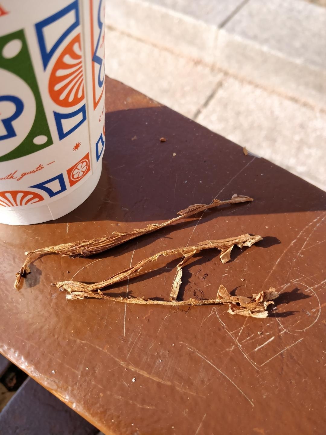 ریشههای تنباکو در سیگار برگ : تقویتکننده طعم یا مشکل در ساخت؟ مقدمه : آناتومی یک بحث دیرینه