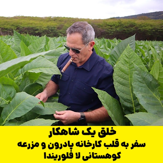 خلق یک شاهکار: سفر به قلب کارخانه پادرون و مزرعه کوهستانی لا فلوریندا