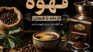 راهنمای جامع قهوه؛ از دانه تا فنجان