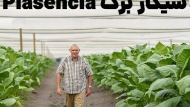 سیگار برگ Plasencia و هفتاد و پنجمین زادروز Don Néstor Plasencia