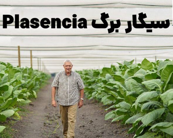 سیگار برگ Plasencia و هفتاد و پنجمین زادروز Don Néstor Plasencia