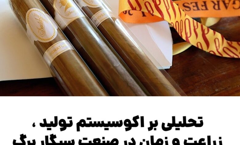 تحلیلی بر اکوسیستم تولید ، زراعت و زمان در صنعت سیگار برگ دیویدوف